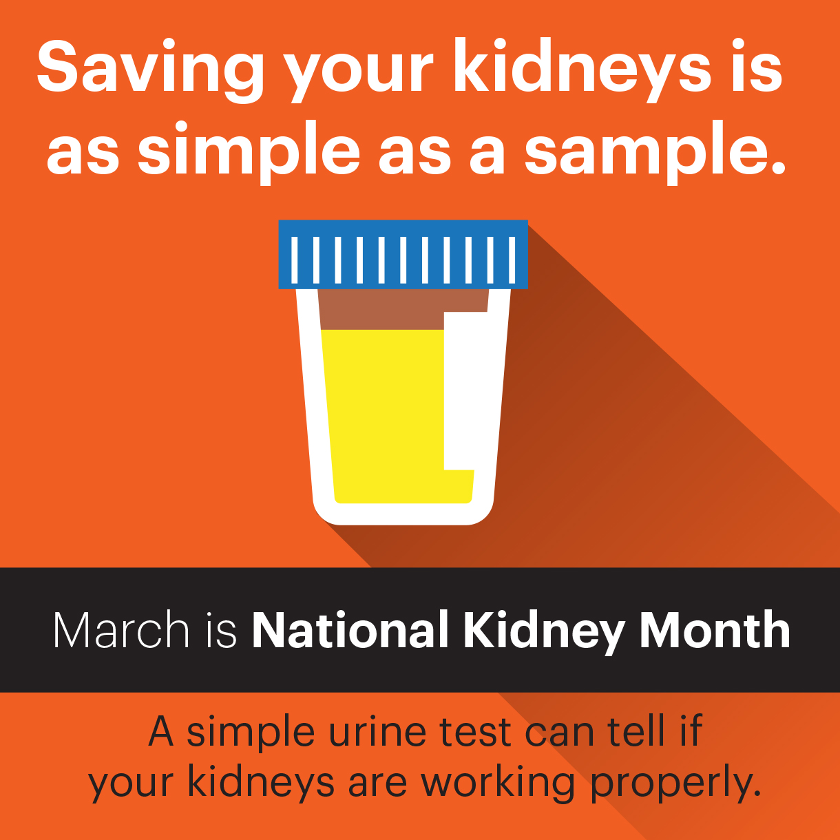 National Kidney Month Toolbox The National Kidney Foundation