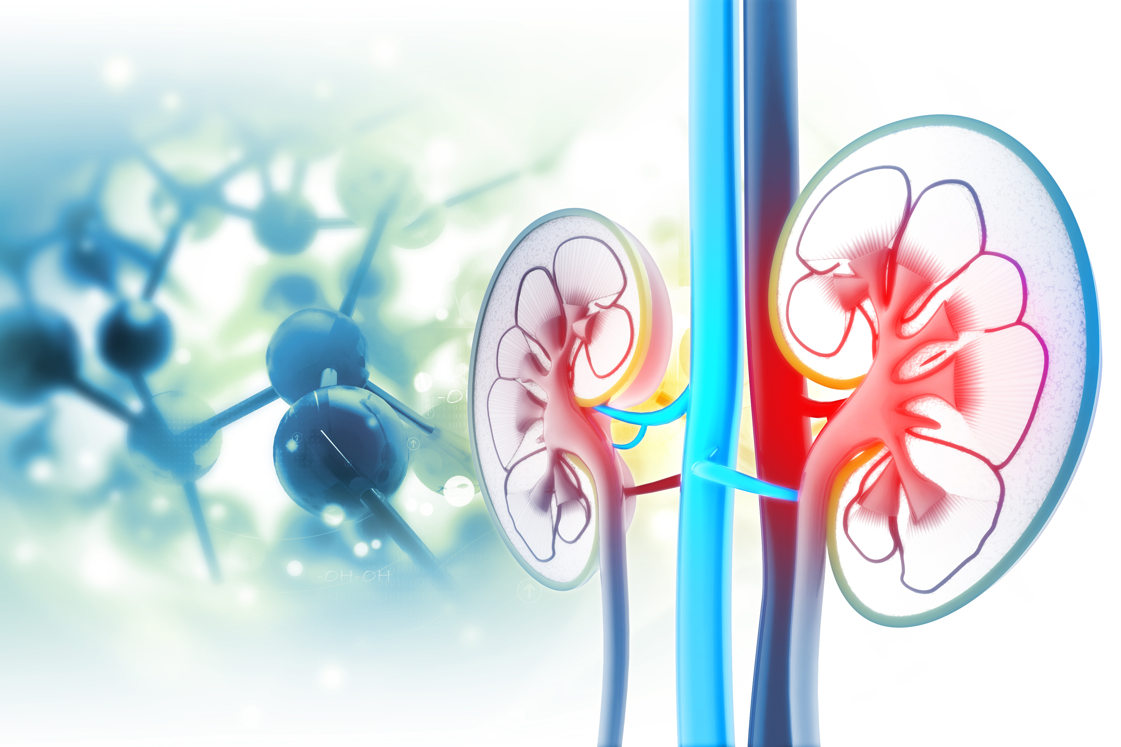 latest research kidney disease