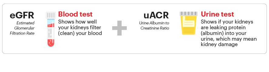 Blood test is for eGFR, urine test is for uACR