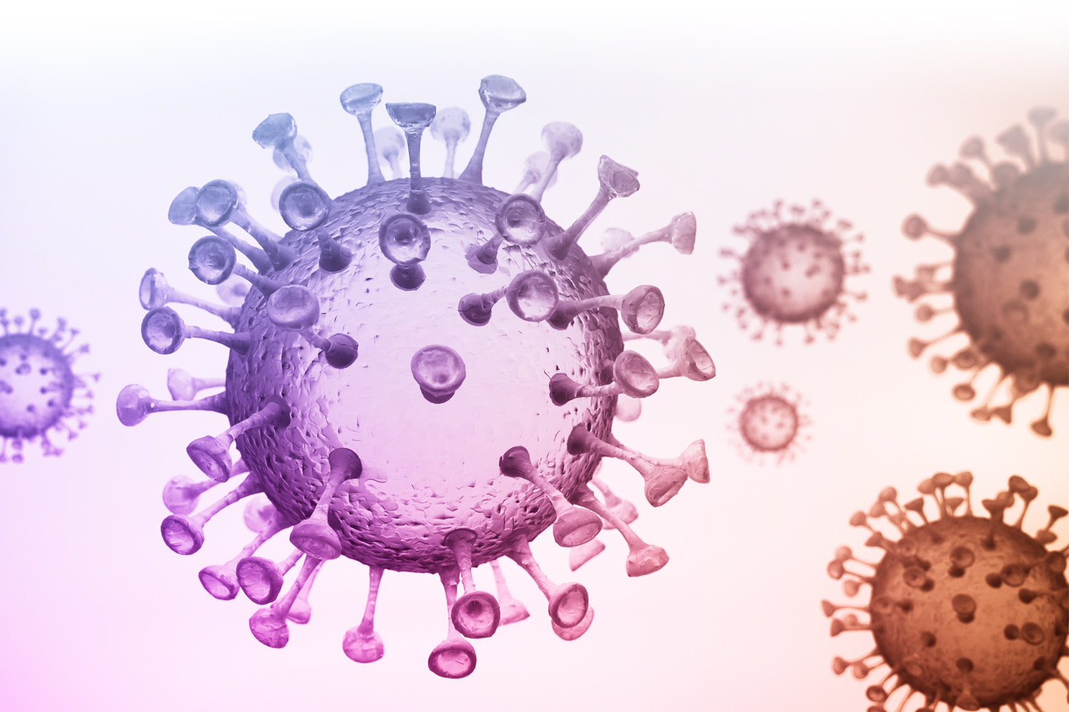 Graphic of magnified Covid-19 virus 
