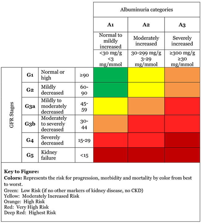 Kidney Failure Risk Factor Urine Albumin To Creatinine Ration Uacr National Kidney Foundation