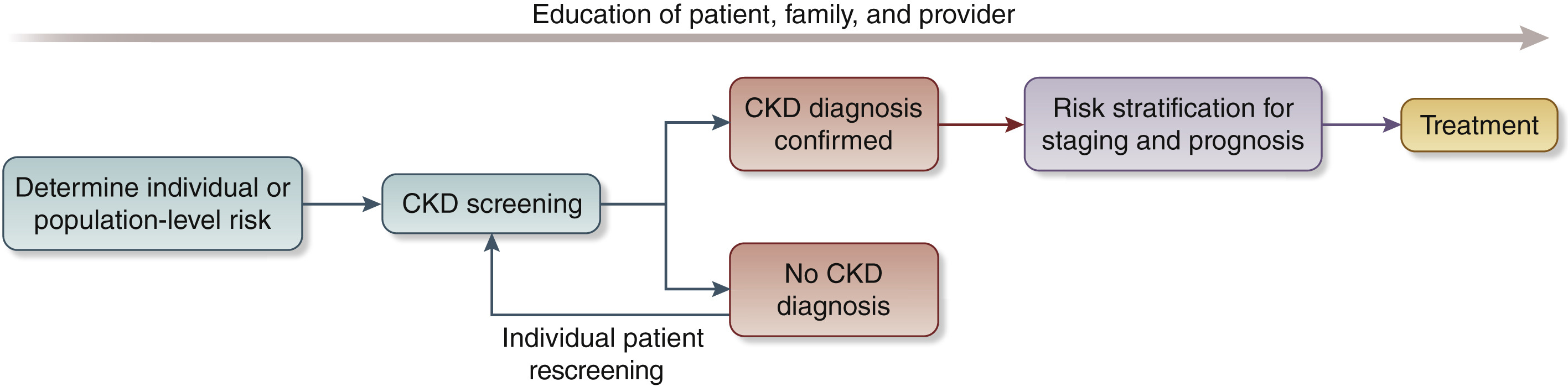 Conceptual framework of a chronic kidney disease (CKD) screening, risk stratification, and treatment program.