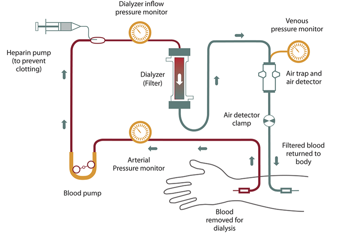 how do you travel on dialysis