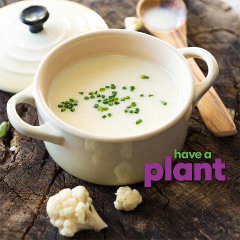 Creamy cauliflower herb soup with potatoes and spices, Have a Plant sponsor logo