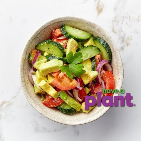 Avocado Garden Salad with Have a Plant logo