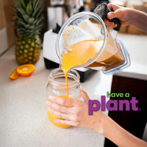 person pouring orange smoothie into a glass, Have a Plant logo