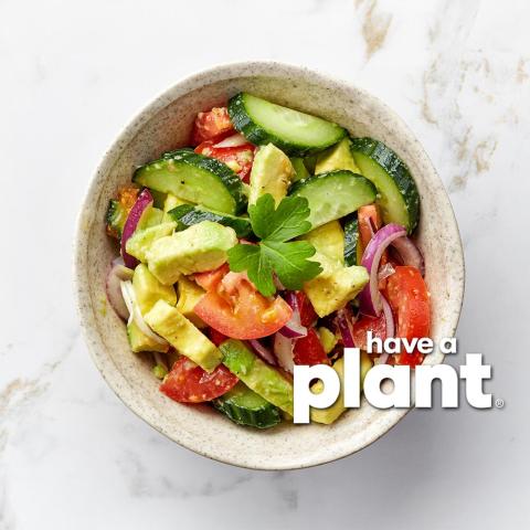 Avocado Salad, Have a Plant logo