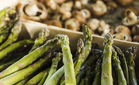 Roasted Asparagus and Wild Mushroom Stew