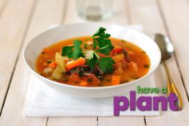 veggie minestrone soup, have a plant logo
