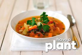 veggie minestrone soup, have a plant logo