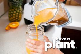 Power Golden Smoothie, Have a Plant Logo