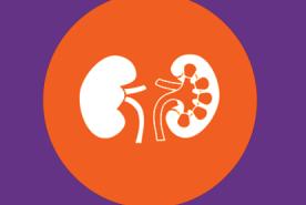 lupus_nephritis_graphic_1_home_page.jpg