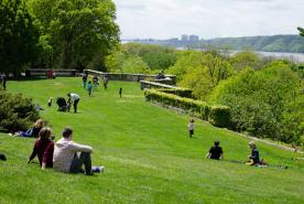 people-in-park.jpg