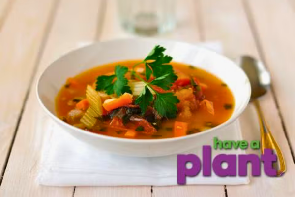 Bowl of 10 minute vegetable soup with text "Have a plant"