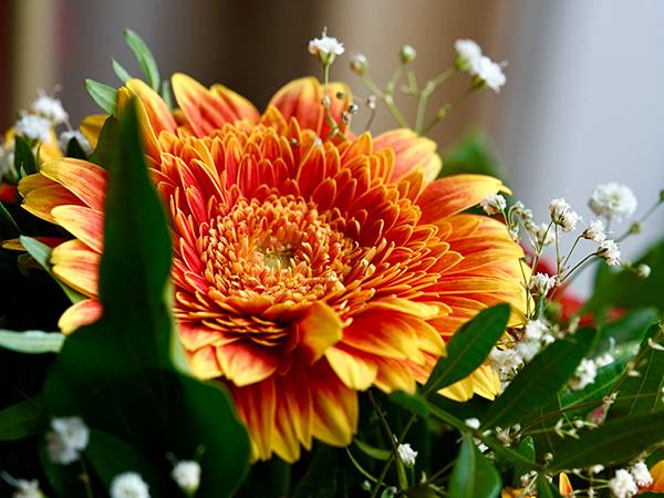 orange bouquet of flowers